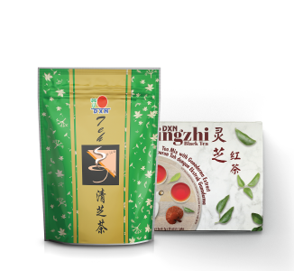 Lingzhi Product